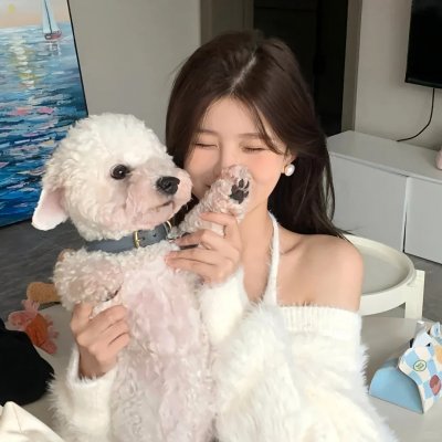 精灵高中:鬼魂高中封面